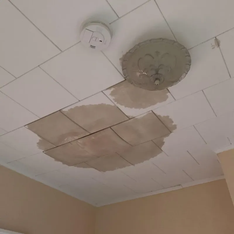 Ceiling Water Damage Repair in Benton, TN