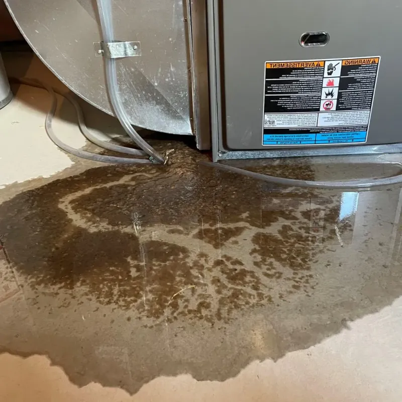 Pipe Burst and Leak Restoration in Benton, TN