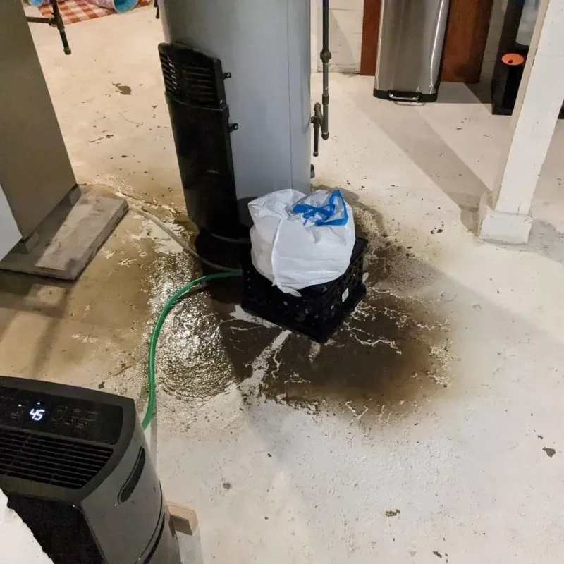 Sewage Backup Cleanup Service in Benton, TN